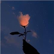 Insegnante di inglese offre lezioni di conversazione, aiuto per compilazione e creazione di cv e documenti vari sia online che di persona da Sestriere a Pinerolo